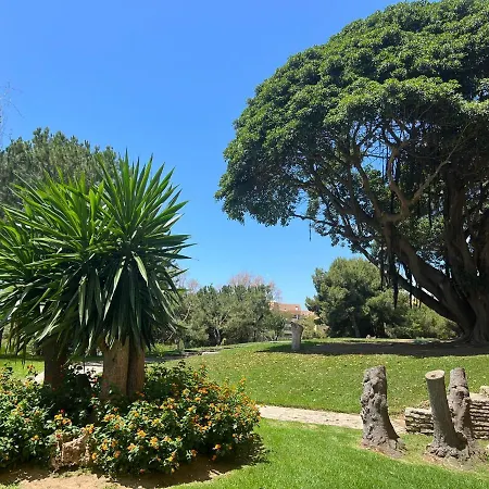 Impeccable Studio In An Excellent Location Sleeps 4 In The Center Of Arroyo De La Miel And Parque De La Paloma *